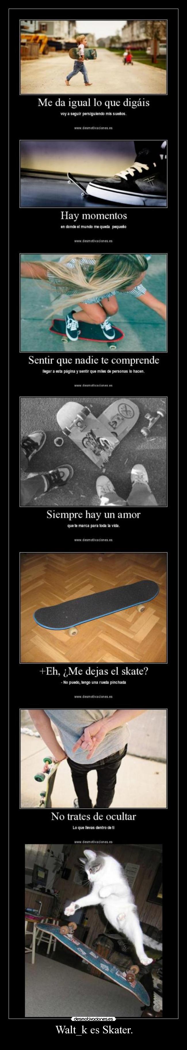 carteles walt_k skate desmotivaciones