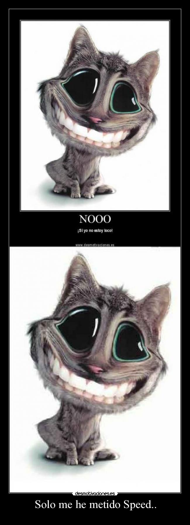 Solo me he metido Speed.. -