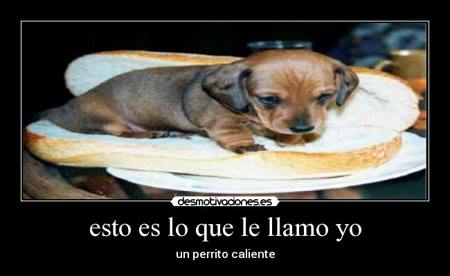 esto es lo que le llamo yo -