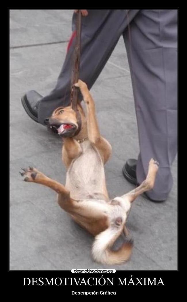 DESMOTIVACIÓN MÁXIMA -