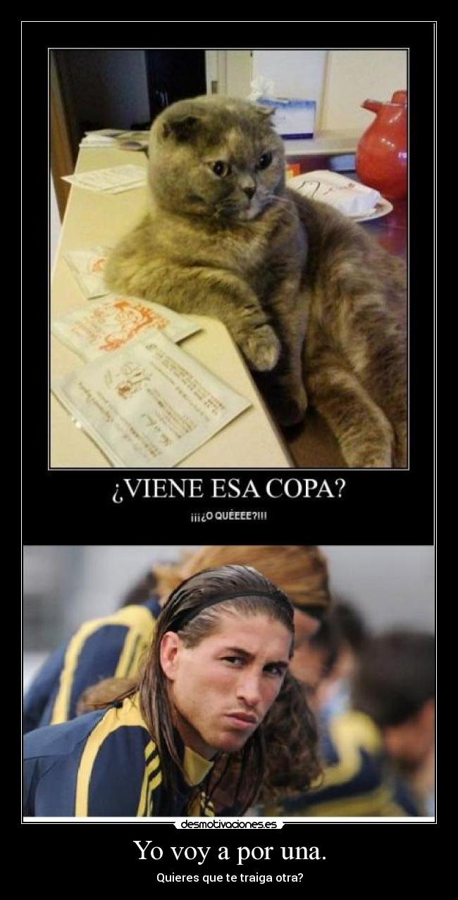Yo voy a por una. - 
