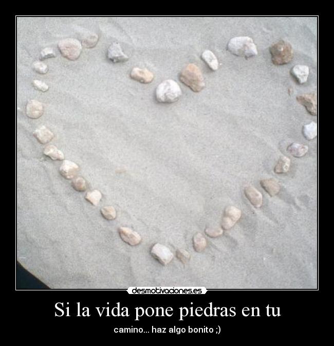 carteles vida amor piedra love stone playa desmotivaciones