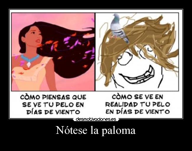 Nótese la paloma -