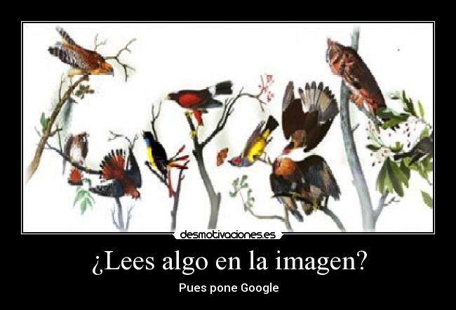 carteles rodri_1212 desmotivaciones