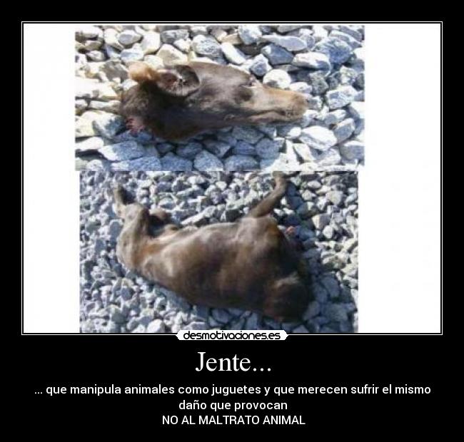 Jente... - 