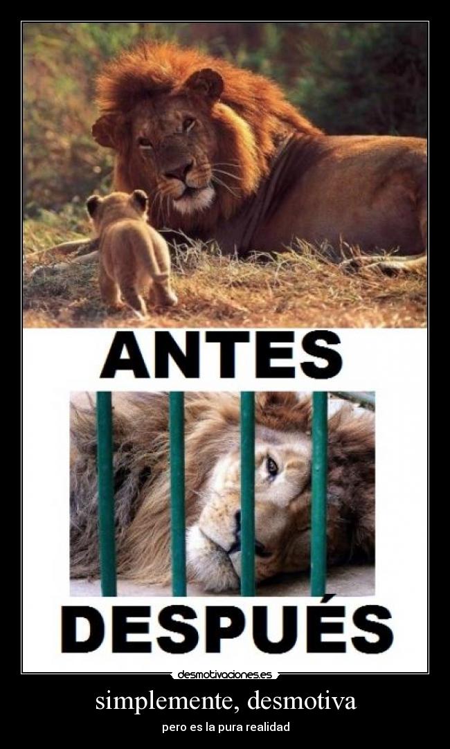 carteles 123 desmotivaciones