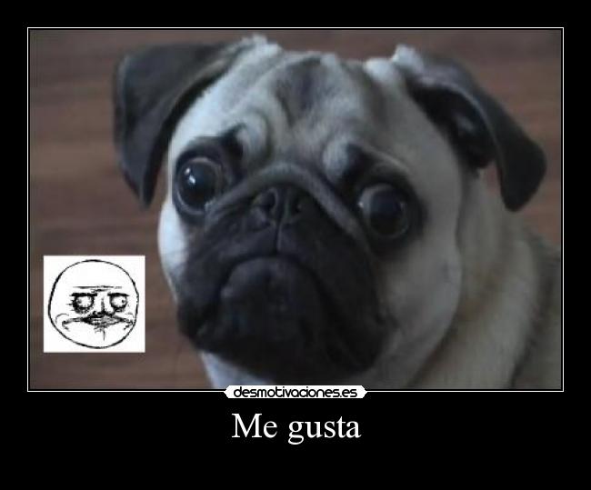 Me gusta - 