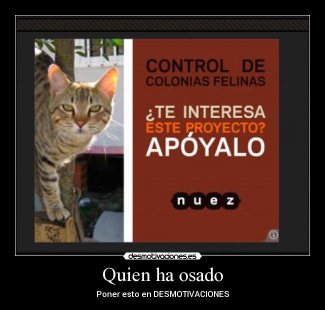 Quien ha osado - Poner esto en DESMOTIVACIONES