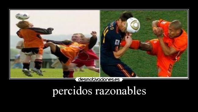 percidos razonables -