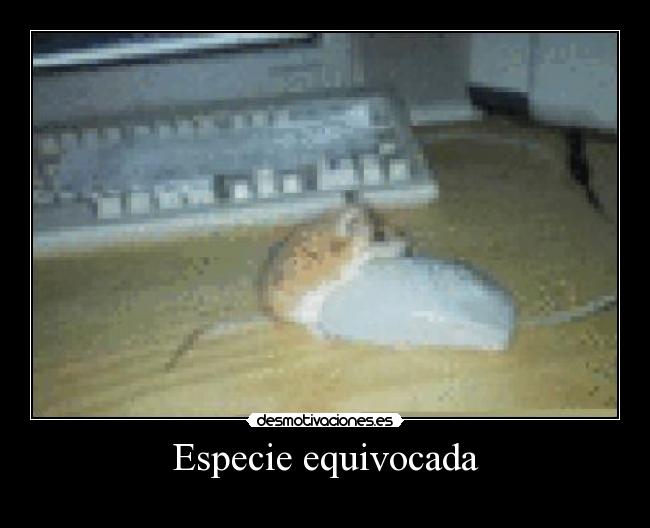 Especie equivocada - 