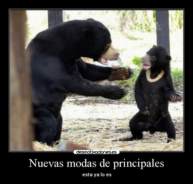 Nuevas modas de principales - 