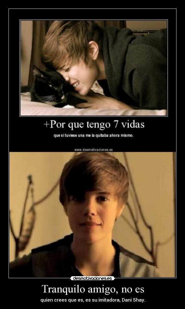 carteles tranquilo amigo justin gato desmotivaciones