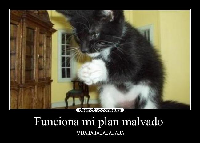 Funciona mi plan malvado -