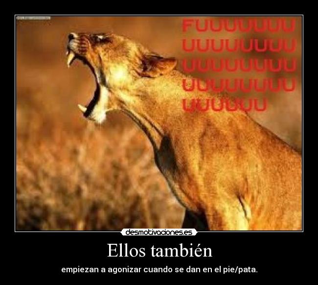Ellos también -