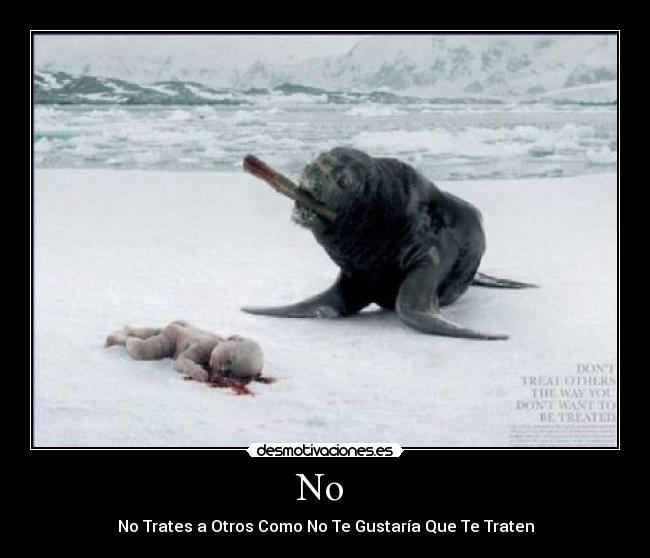 No - No Trates a Otros Como No Te Gustaría Que Te Traten
