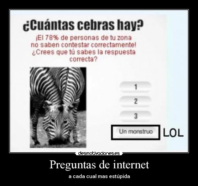 Preguntas de internet - 