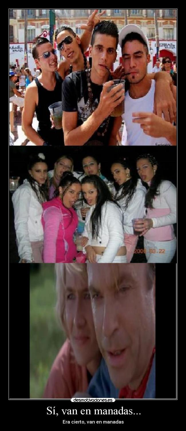 Sí, van en manadas... - 
