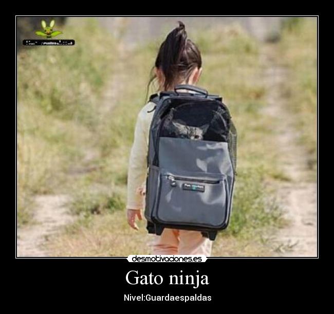 Gato ninja - 