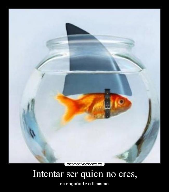 Intentar ser quien no eres, -