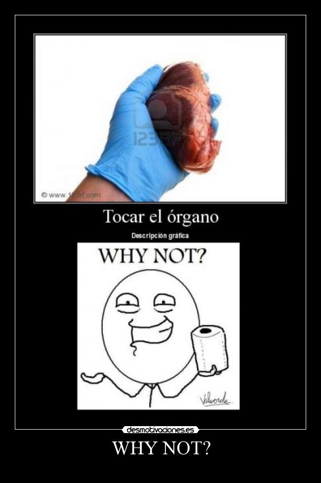 carteles why not tocar organo desmotivaciones