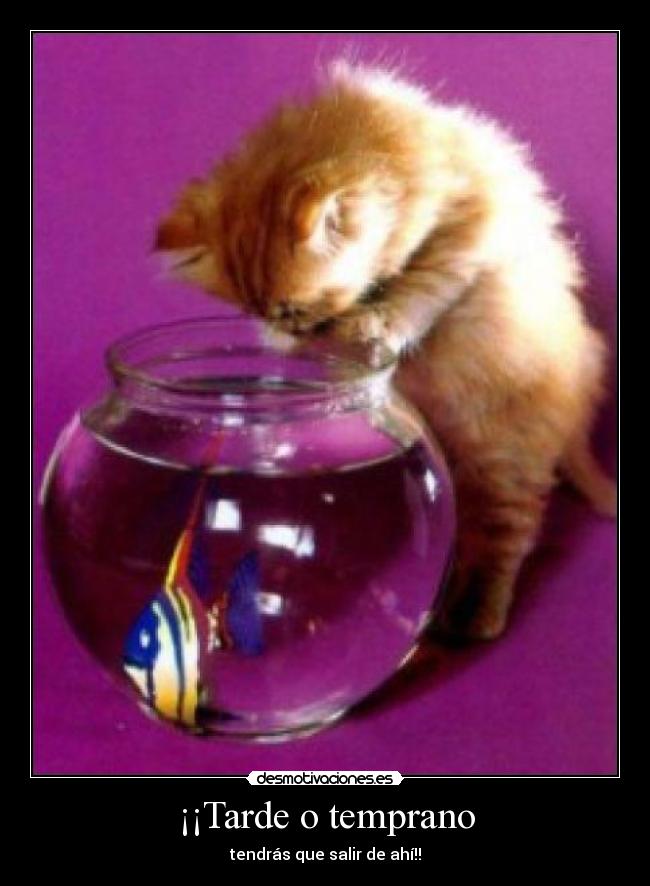 ¡¡Tarde o temprano - tendrás que salir de ahí!!
