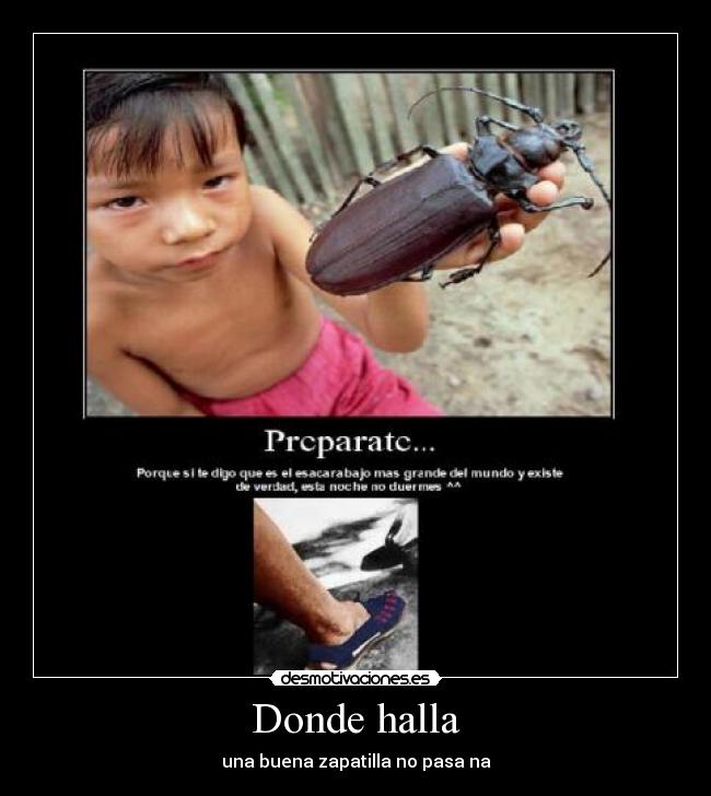 Donde halla - una buena zapatilla no pasa na
