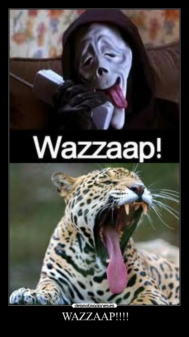 WAZZAAP!!!! - 