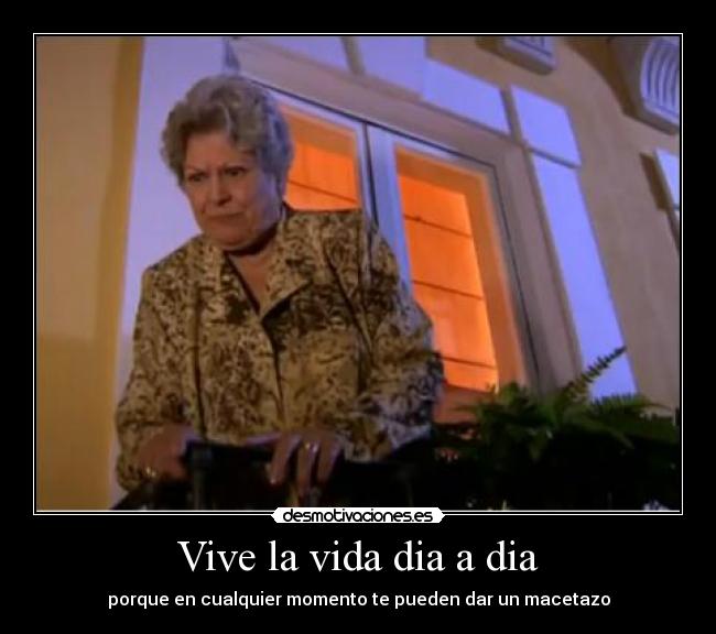 carteles vida vive vida desmotivaciones