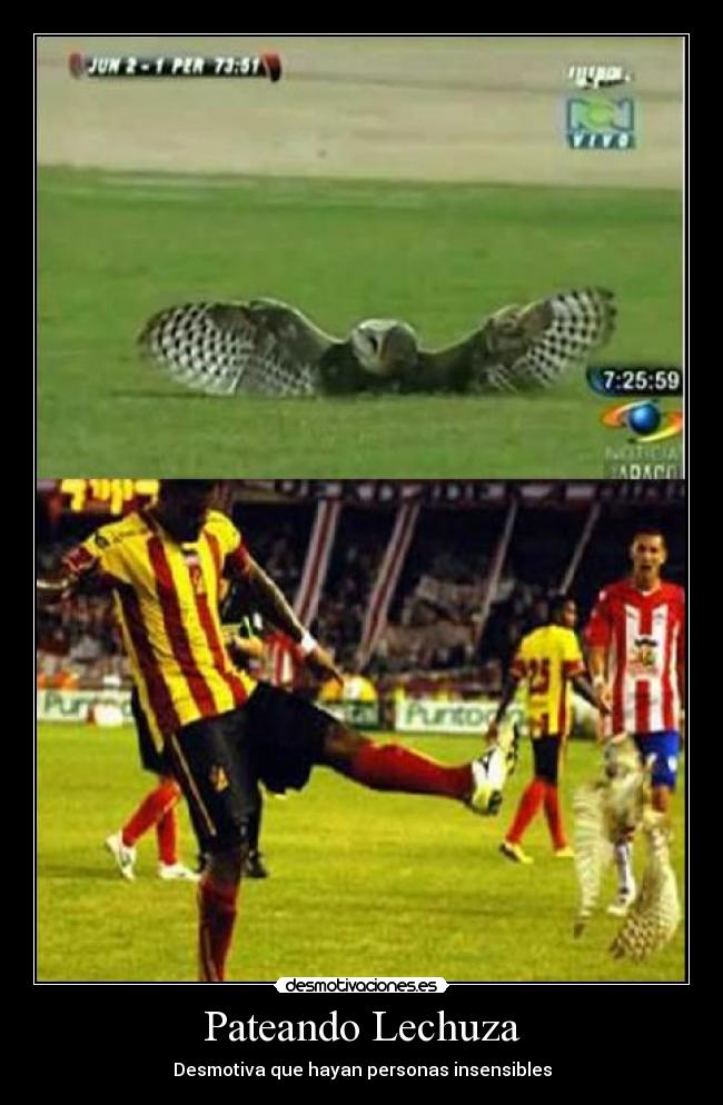 Pateando Lechuza - Desmotiva que hayan personas insensibles