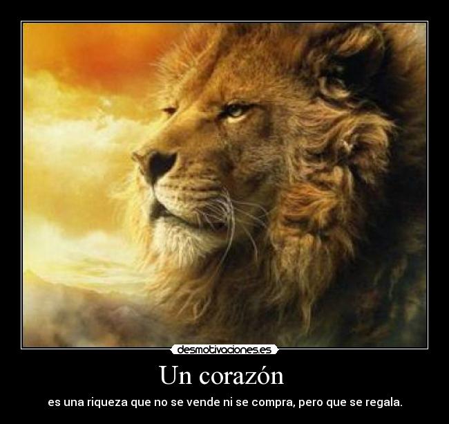 carteles corazon corazon regalar cartel riqueza leon desmotivaciones