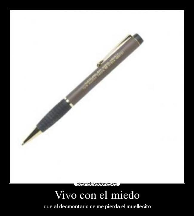 Vivo con el miedo - que al desmontarlo se me pierda el muellecito