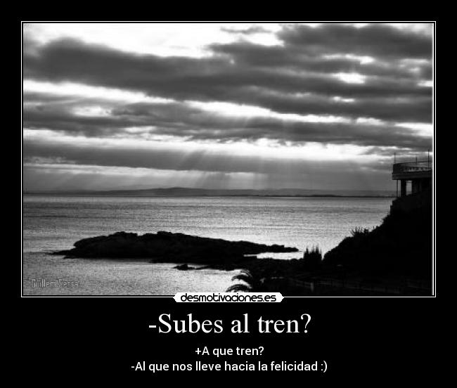 -Subes al tren? -
