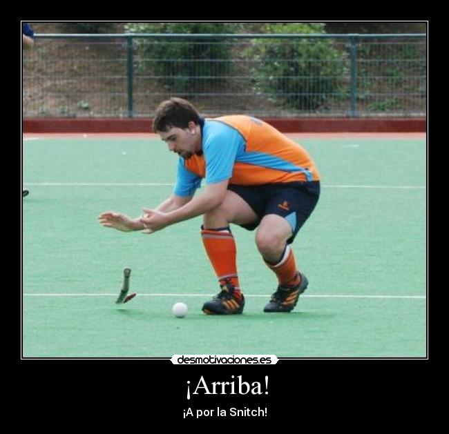 ¡Arriba! - ¡A por la Snitch!