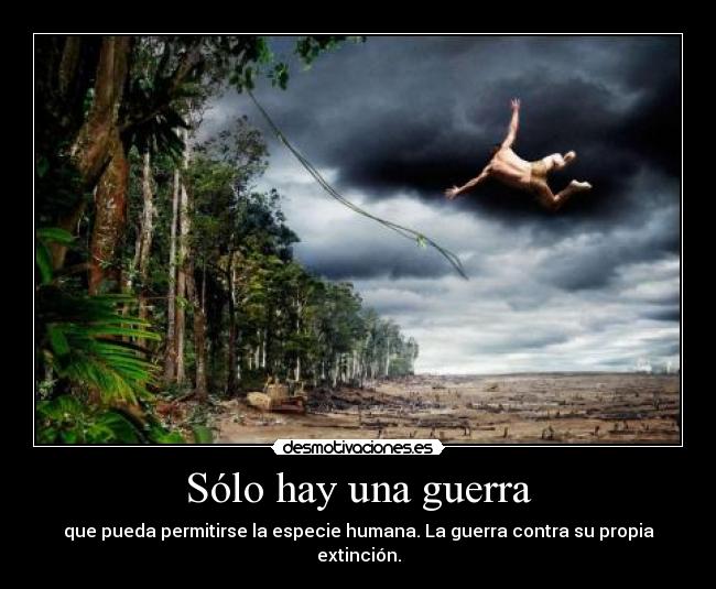 Sólo hay una guerra -