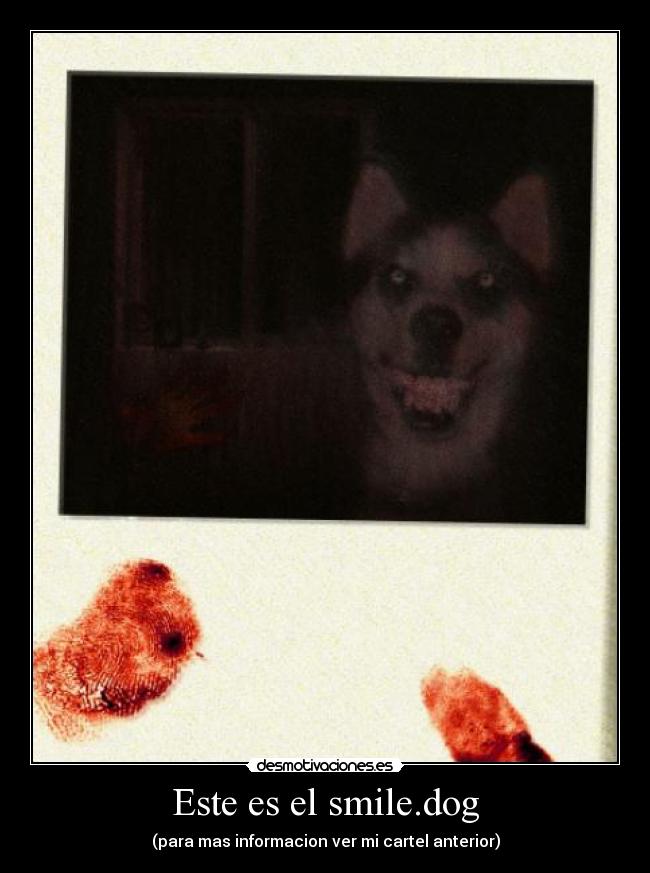 Este es el smile.dog - (para mas informacion ver mi cartel anterior)