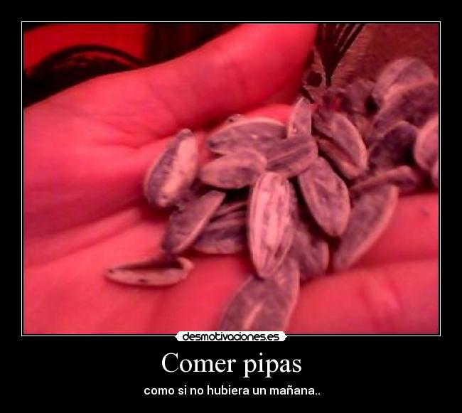Comer pipas - 