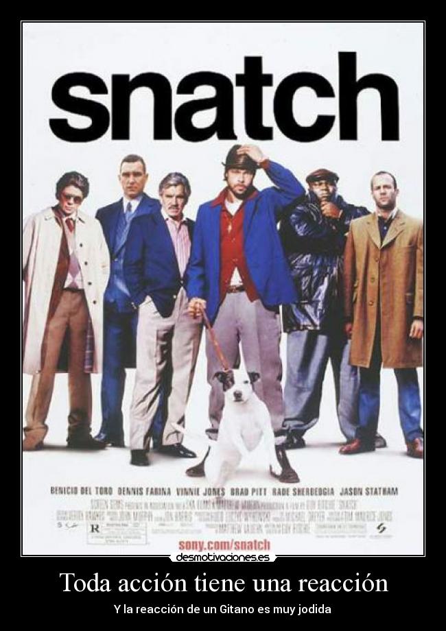 carteles accion reaccion gitano jodida desmotivaciones