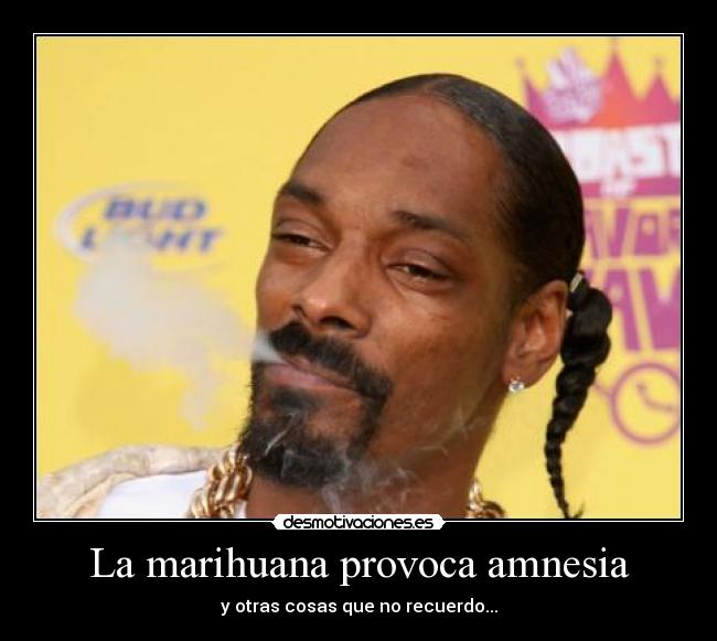 La marihuana provoca amnesia - 