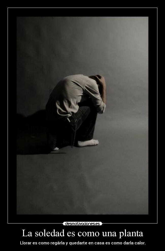 La soledad es como una planta -