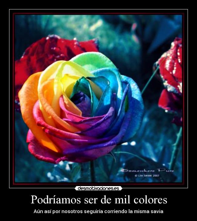 Podríamos ser de mil colores - Aún así por nosotros seguiría corriendo la misma savia