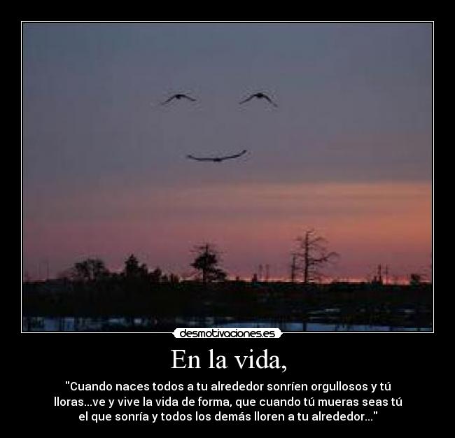 carteles vida vida llorar triste contento sonreir nace muere mueras desmotivaciones