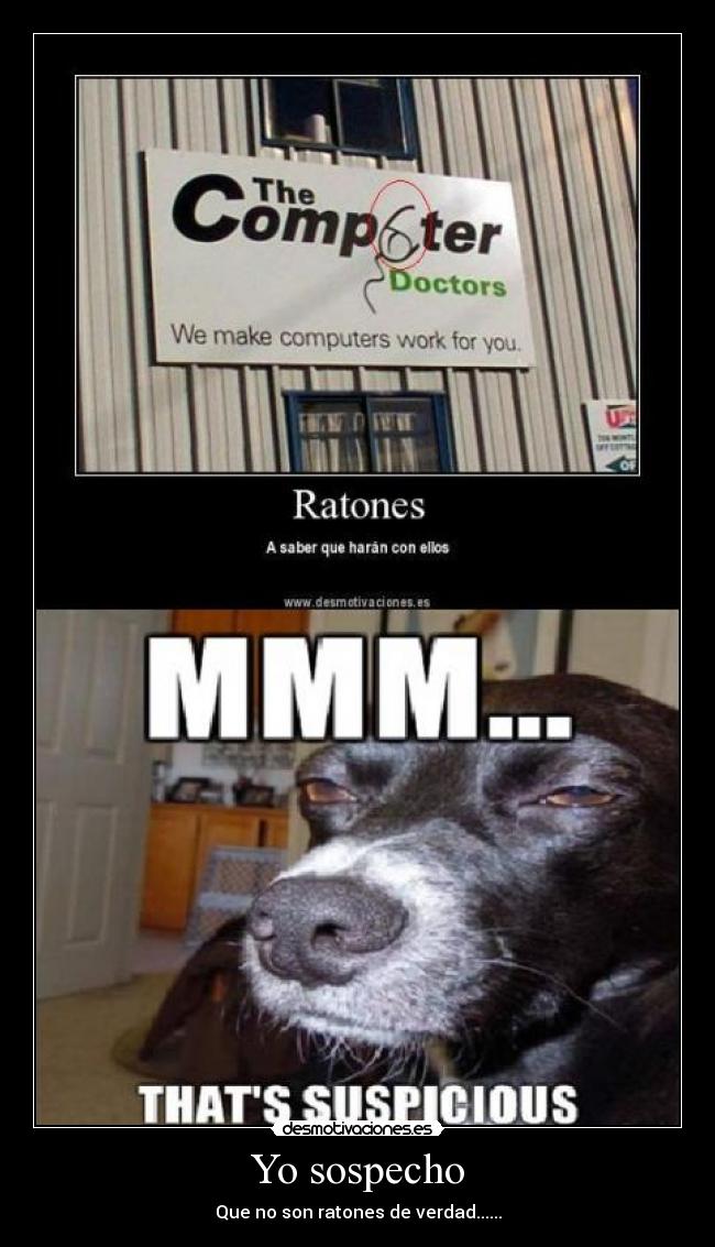 Yo sospecho -