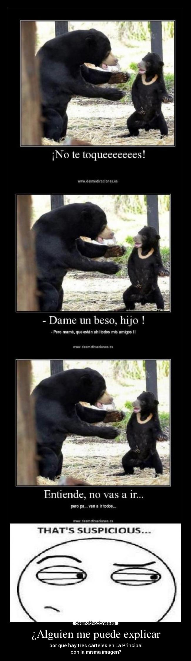 ¿Alguien me puede explicar - por qué hay tres carteles en La Principal
con la misma imagen?