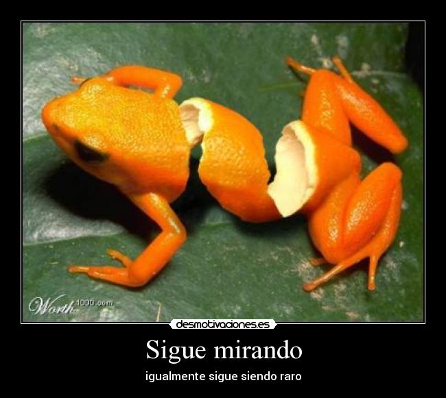 Sigue mirando - 