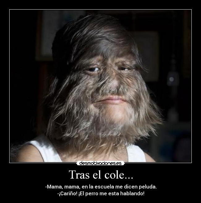 carteles peluda desmotivaciones