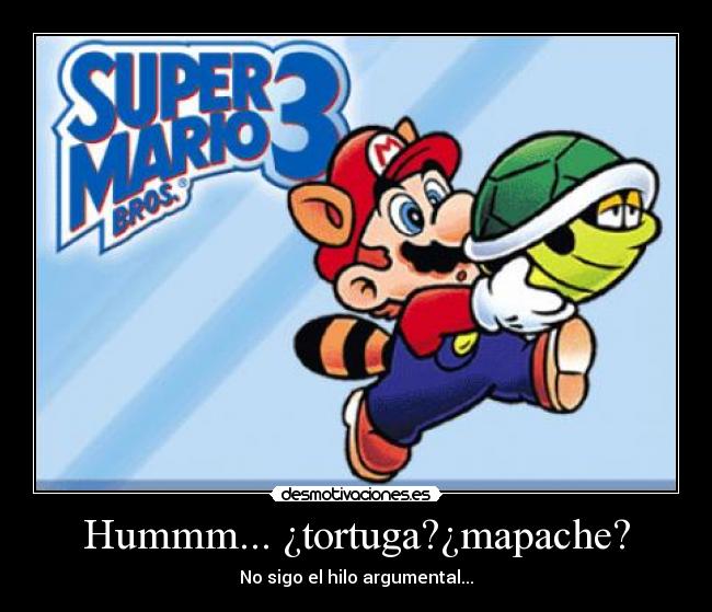Hummm... ¿tortuga?¿mapache? - 