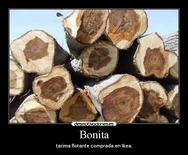 Bonita - tarima flotante comprada en Ikea.