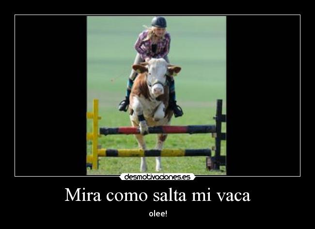 Mira como salta mi vaca -
