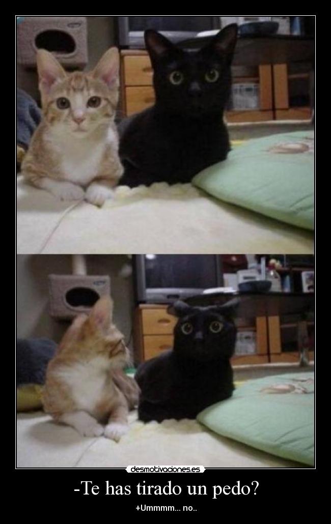 -Te has tirado un pedo? - 