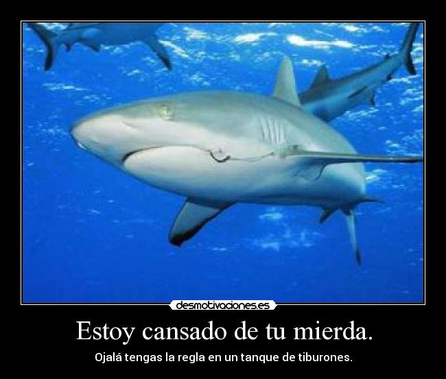 Estoy cansado de tu mierda. -